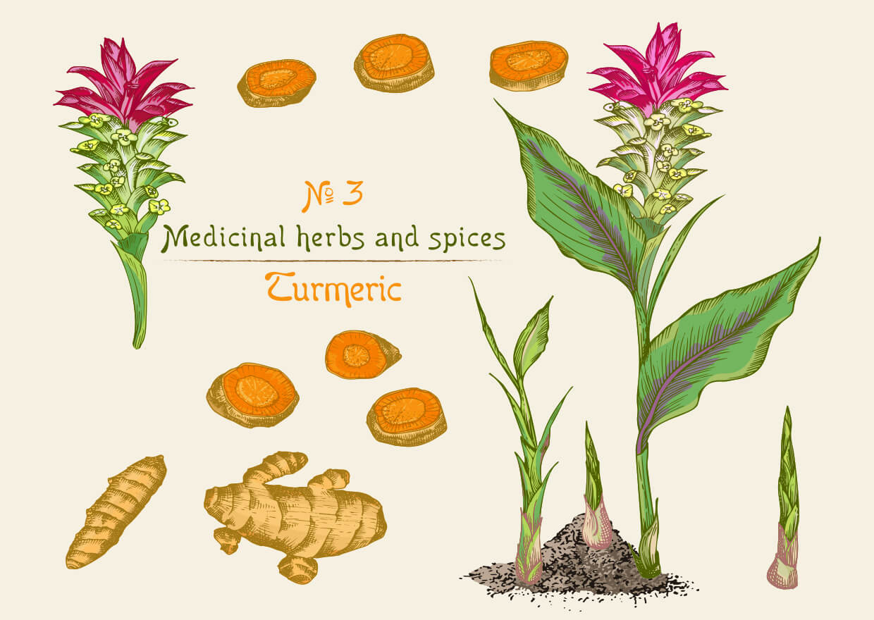 Curcumin C3 Complex®