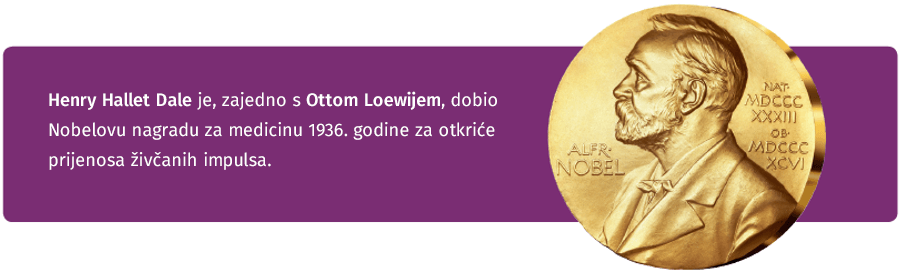 Cholina na miarę Nobla